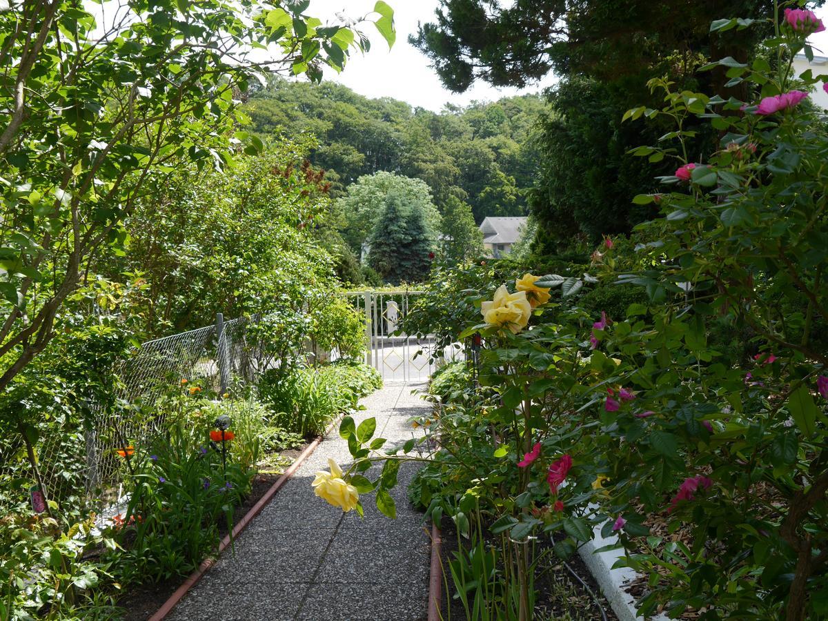 Pension Mittag Heringsdorf  Buitenkant foto